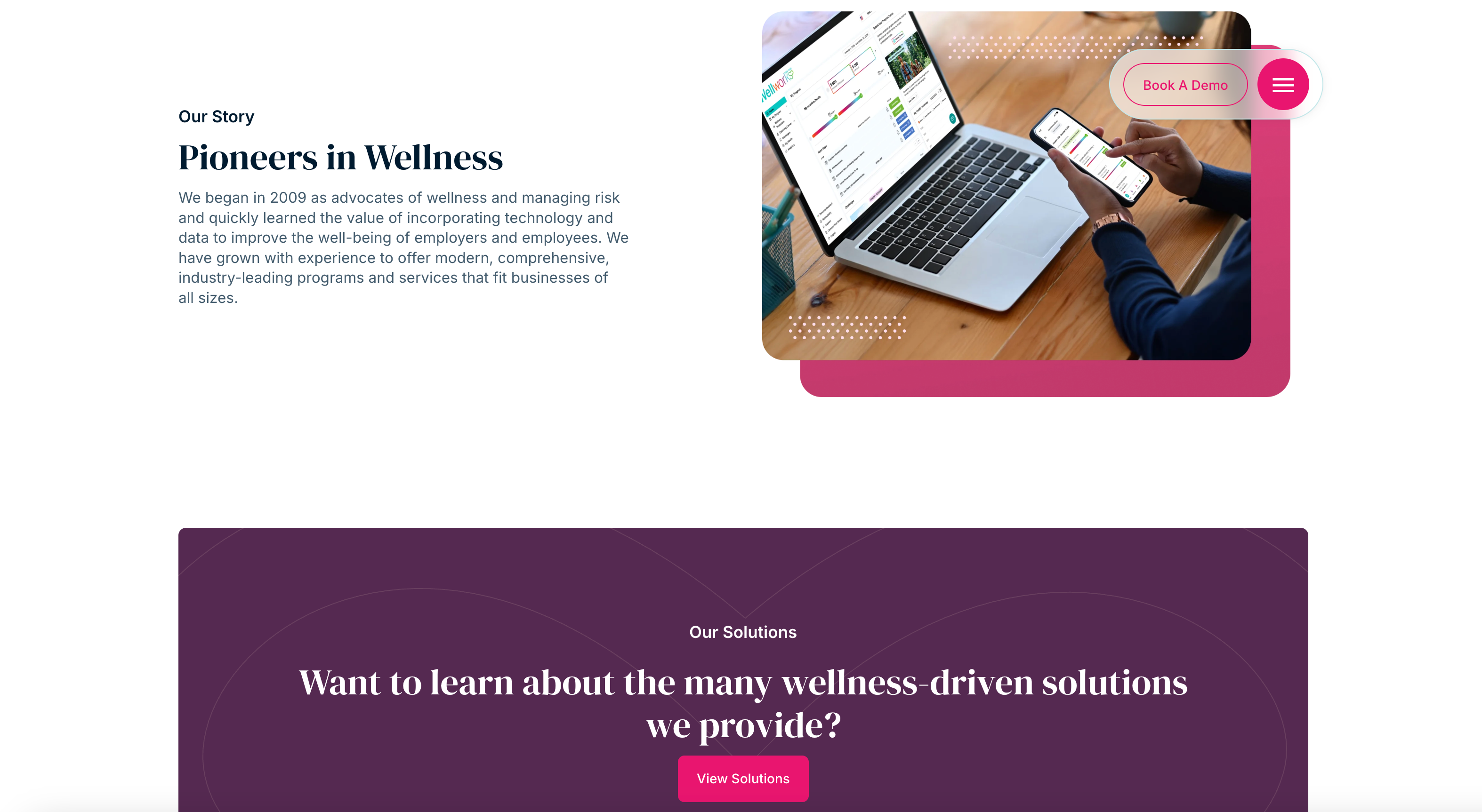 Wellworks — Our Story & Our Solutions